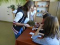 wybory su5